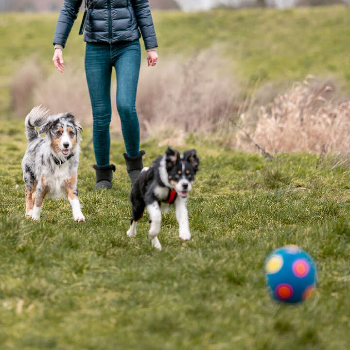 Nobby Latex-Fußball